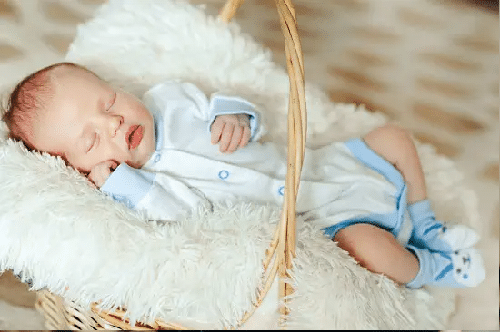 best boxum baby 3 in 1 portable bassinet portable